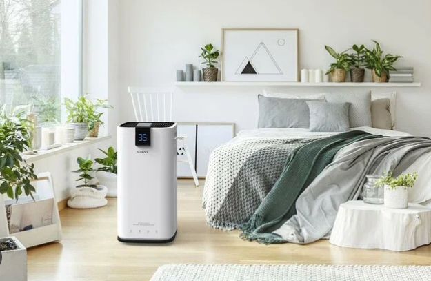 BUYER’S GUIDE: Should I buy a Portable or Whole-House Dehumidifier?
